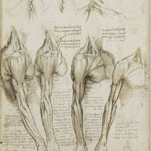 Meet your Posher, Aragon